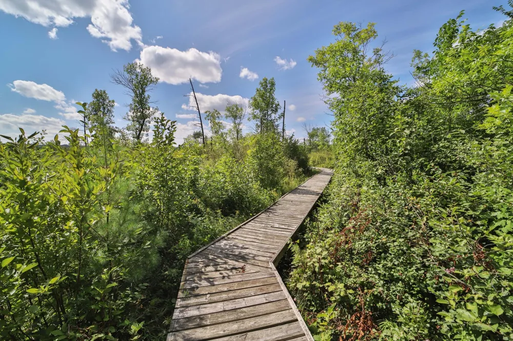 1899 Fern Trail NE Remer, MN 56672
