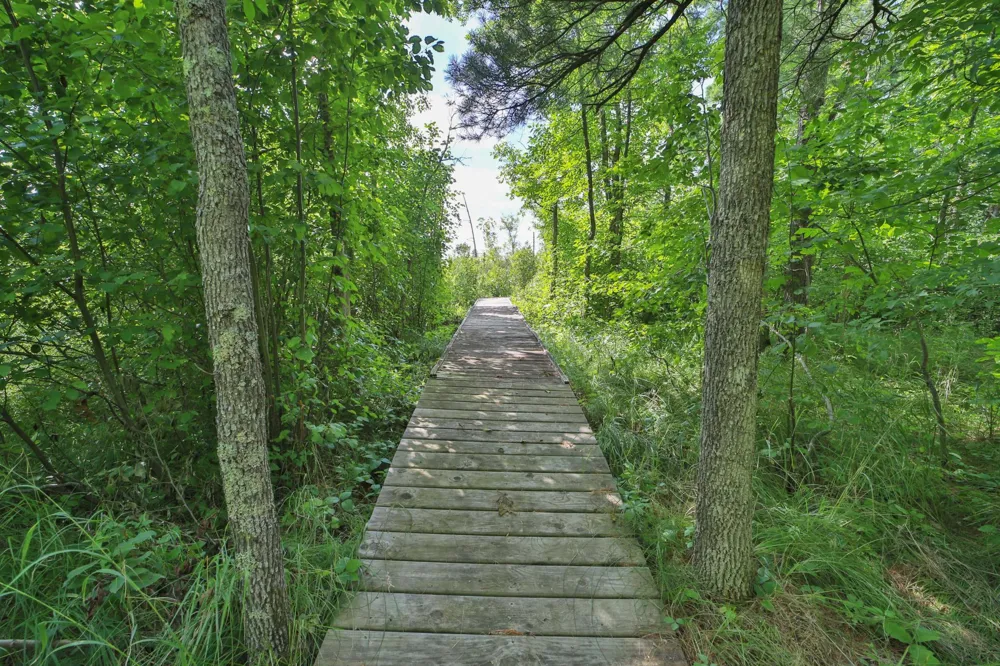 1899 Fern Trail NE Remer, MN 56672