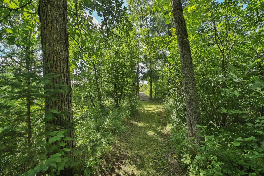 1899 Fern Trail NE Remer, MN 56672