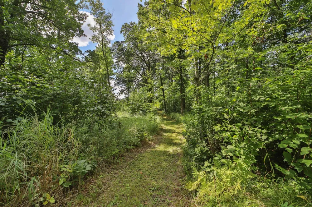 1899 Fern Trail NE Remer, MN 56672