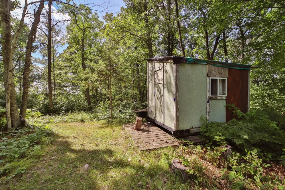 1899 Fern Trail NE Remer, MN 56672