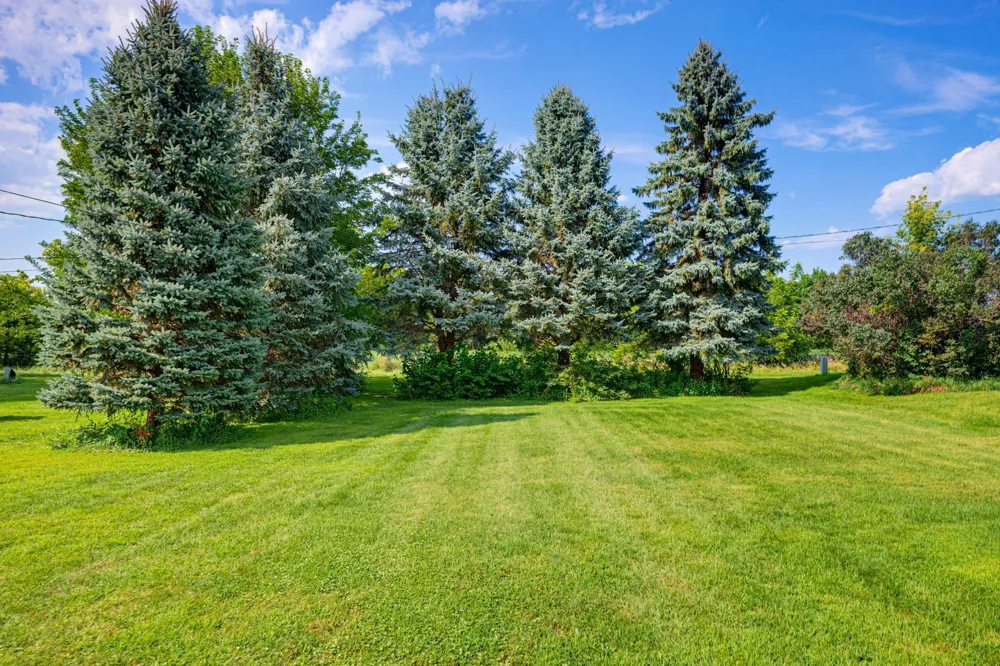 251 Dupont Avenue NE Hector, MN 55342