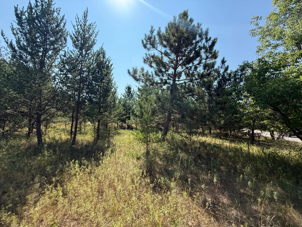 TBD SE 13th St Brainerd, MN 56401