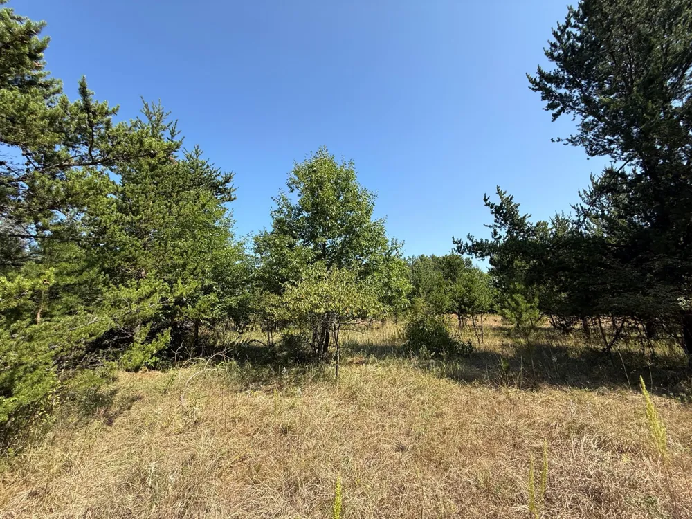 TBD SE 13th St Brainerd, MN 56401