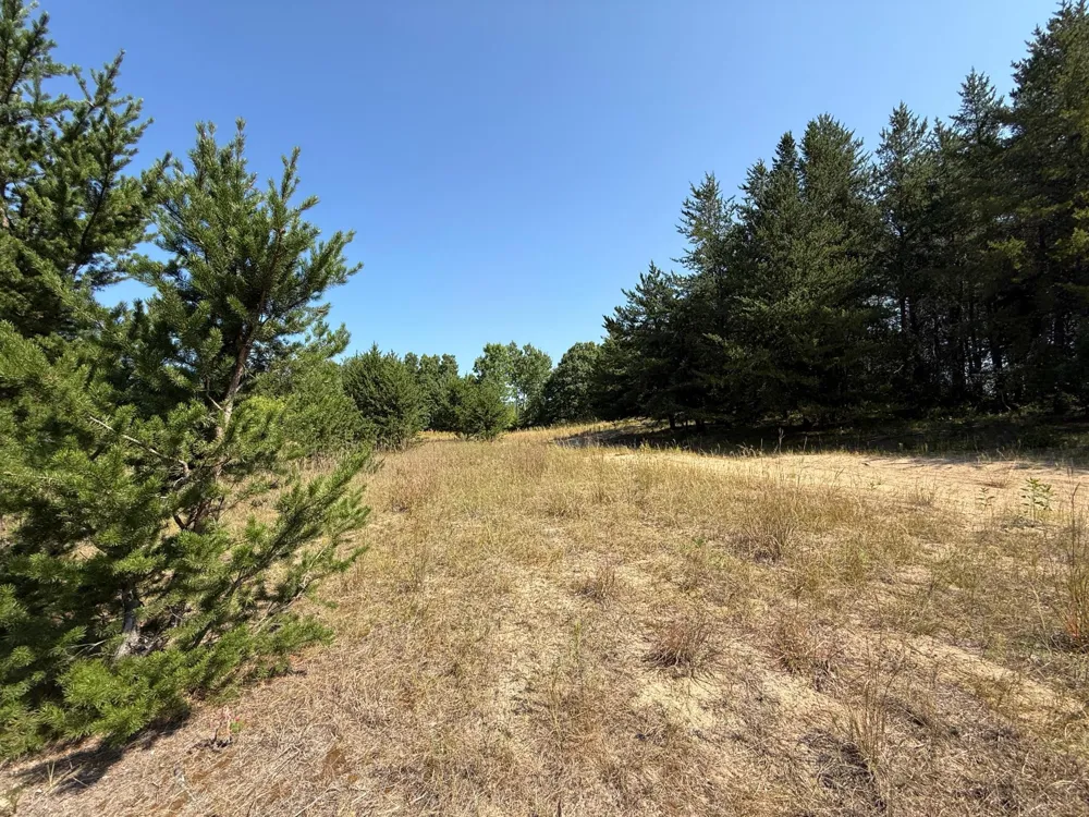 TBD SE 13th St Brainerd, MN 56401