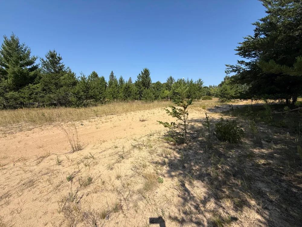 TBD SE 13th St Brainerd, MN 56401