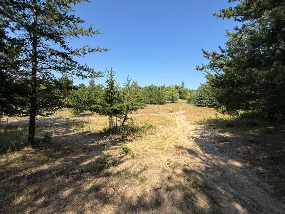 TBD SE 13th St Brainerd, MN 56401