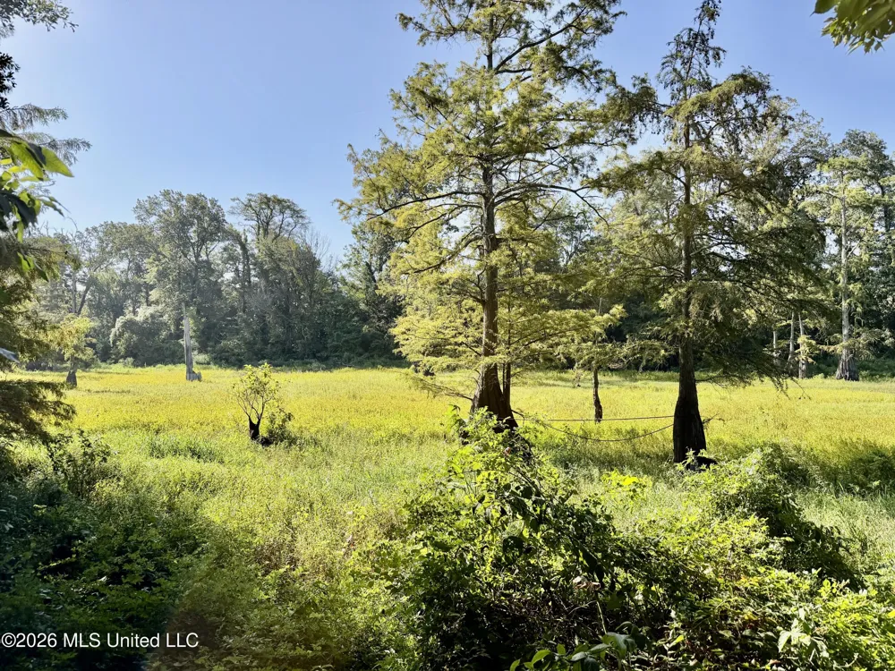 322 Walker Road Cleveland, MS 38732