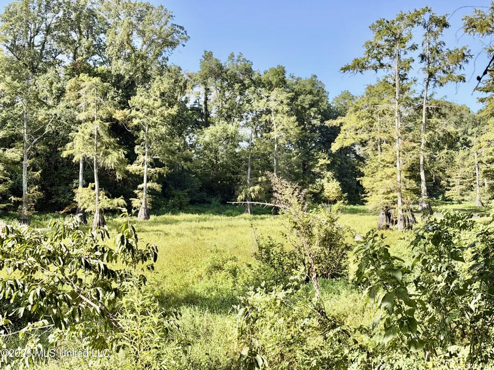 322 Walker Road Cleveland, MS 38732