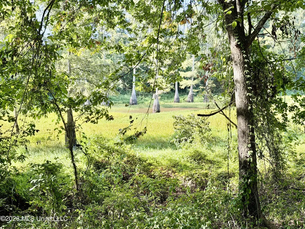 322 Walker Road Cleveland, MS 38732