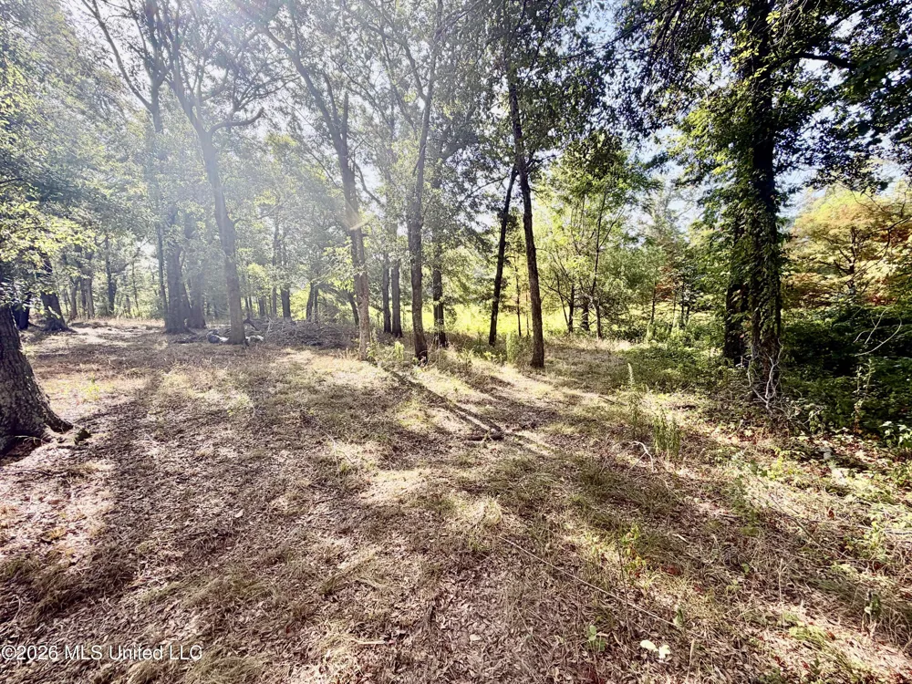 322 Walker Road Cleveland, MS 38732