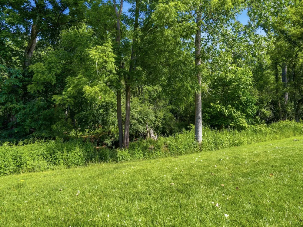 555 Sycamore Circle Saline, MI 48176