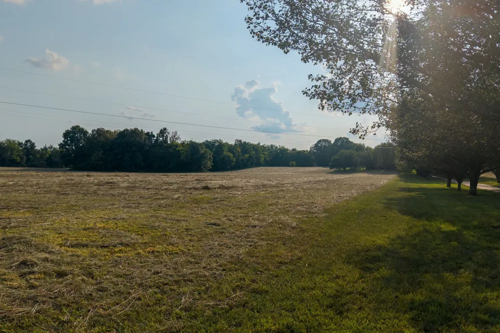 975 Haunt Hollow Rd Unionville, TN 37180