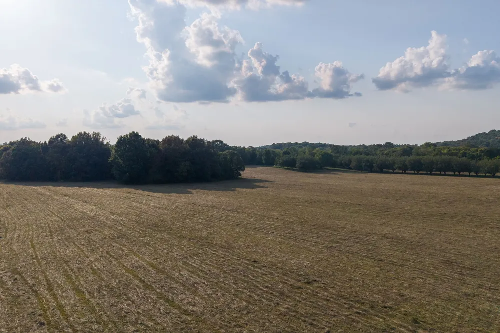 975 Haunt Hollow Rd Unionville, TN 37180