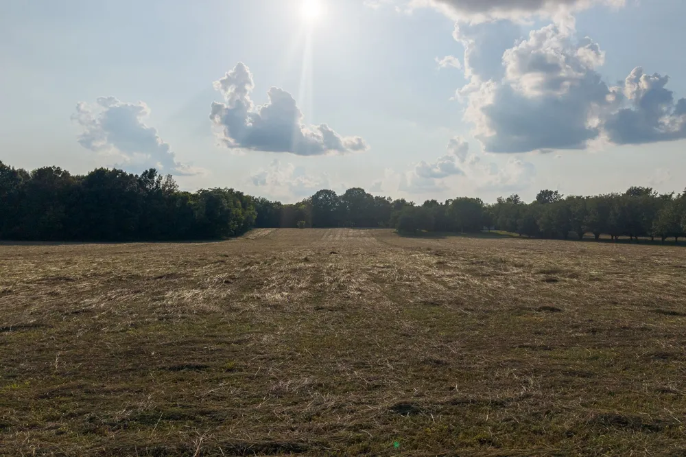 975 Haunt Hollow Rd Unionville, TN 37180