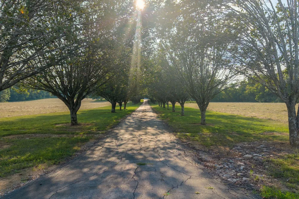 975 Haunt Hollow Rd Unionville, TN 37180