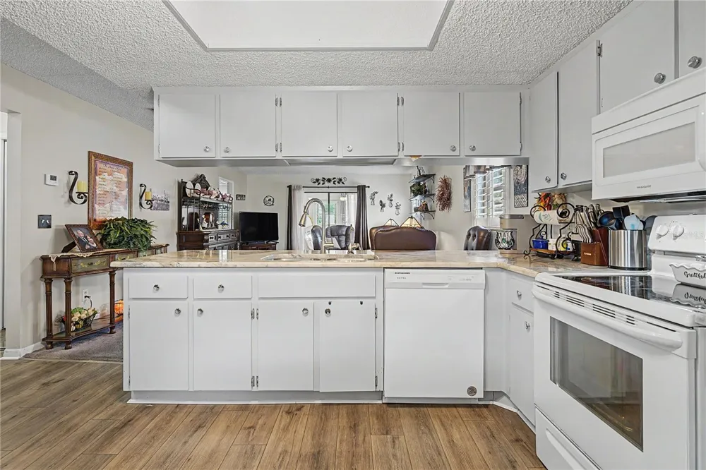 38225 BOXWOOD DRIVE Zephyrhills, FL 33542