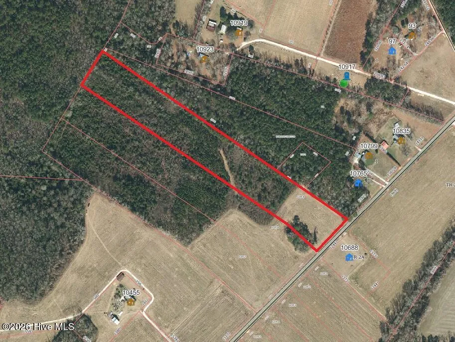Lot 9 Point Caswell Road Willard, NC 28478