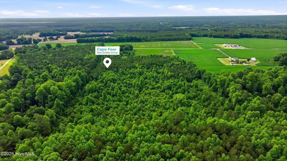 Lot 9 Point Caswell Road Willard, NC 28478