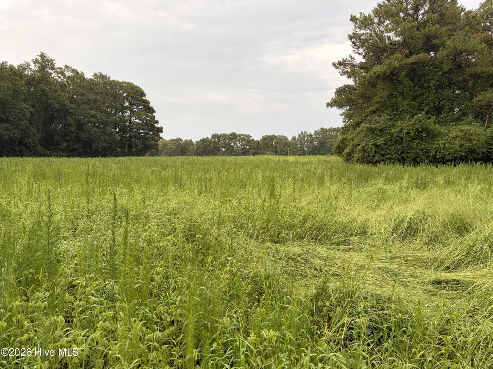 Lot 9 Point Caswell Road Willard, NC 28478