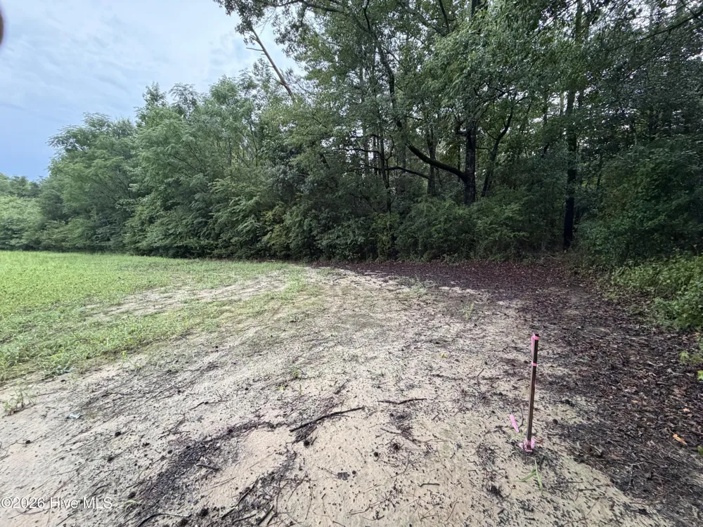 Lot 9 Point Caswell Road Willard, NC 28478