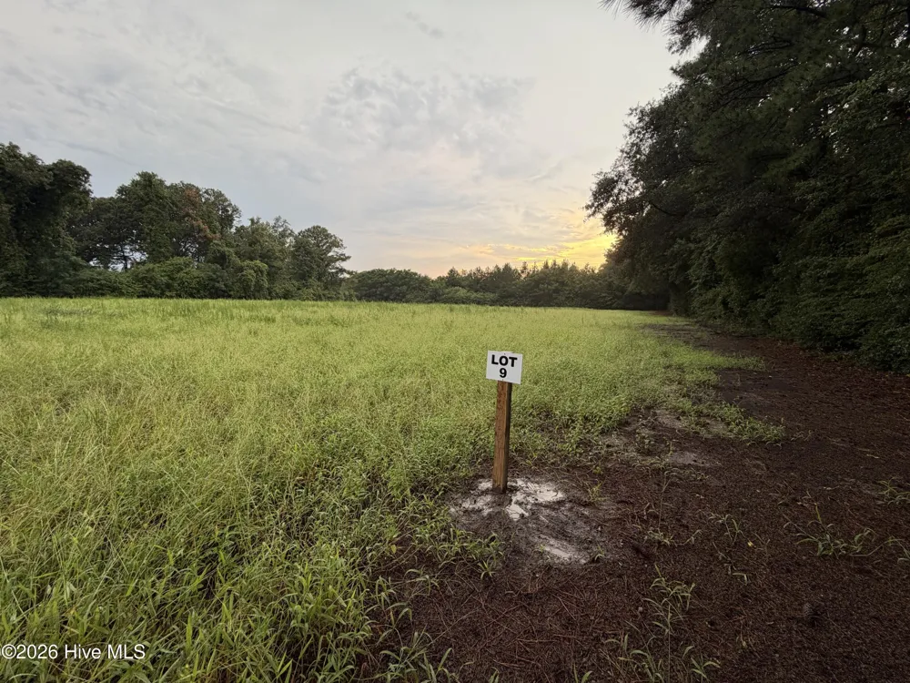 Lot 9 Point Caswell Road Willard, NC 28478