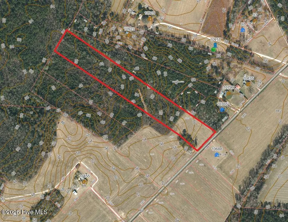 Lot 9 Point Caswell Road Willard, NC 28478