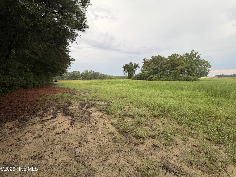 Lot 9 Point Caswell Road Willard, NC 28478