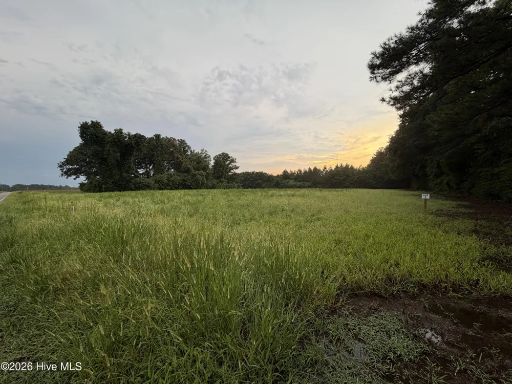Lot 9 Point Caswell Road Willard, NC 28478