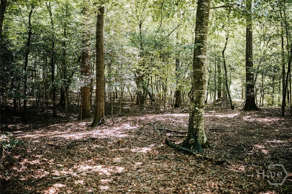 3288 King Hall Mill Road Bowman, GA 30624