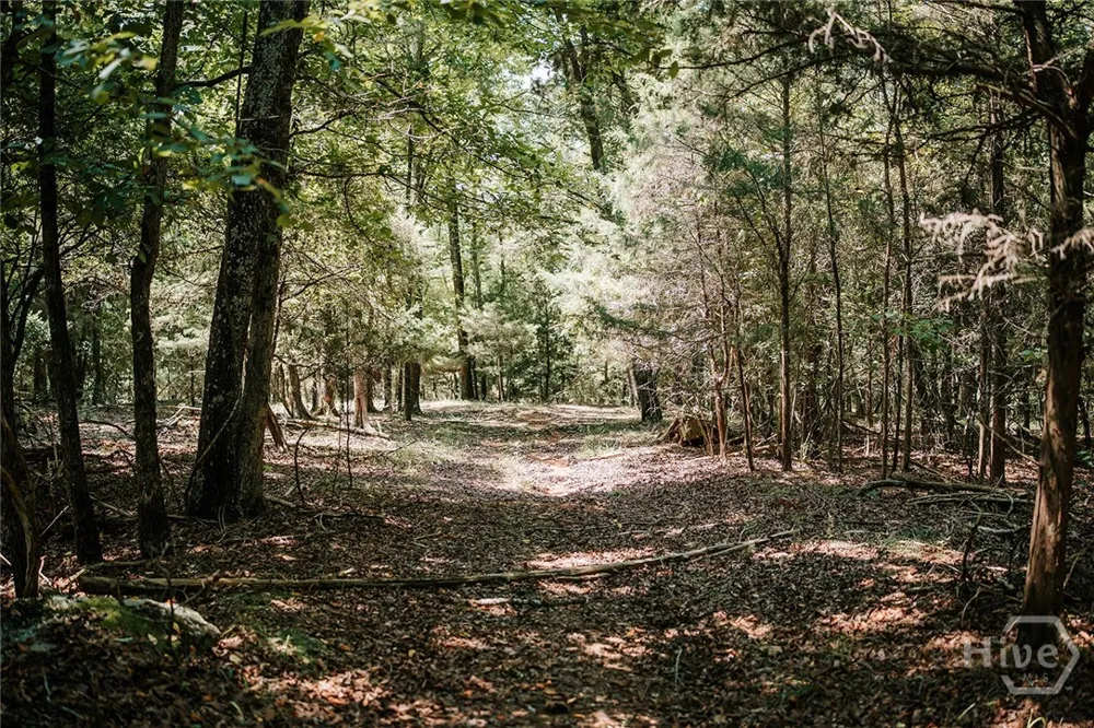 3288 King Hall Mill Road Bowman, GA 30624