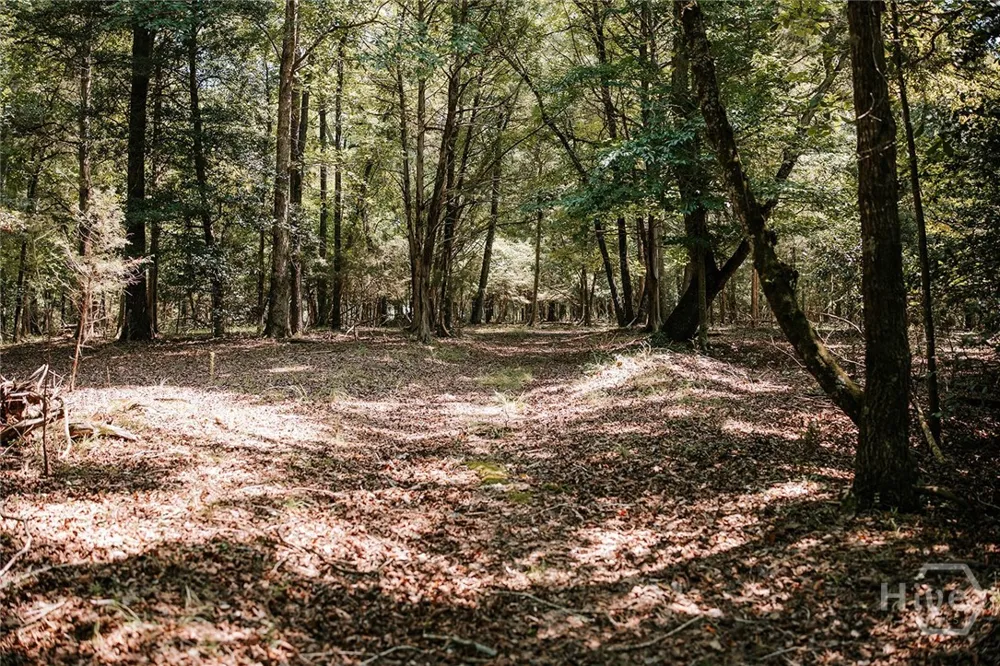 3288 King Hall Mill Road Bowman, GA 30624