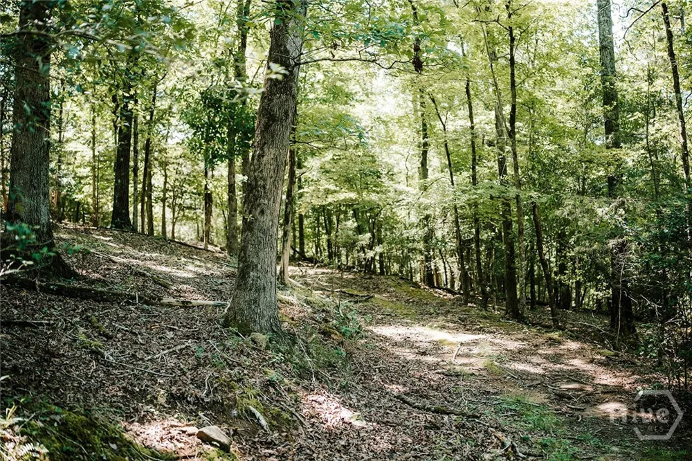 3288 King Hall Mill Road Bowman, GA 30624