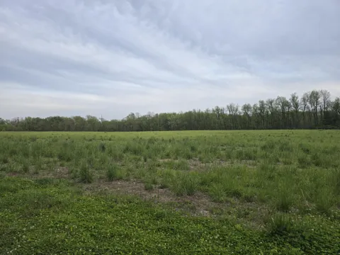 4081 350 E