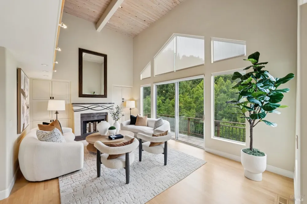 160 Piedmont Court Larkspur, CA 94939