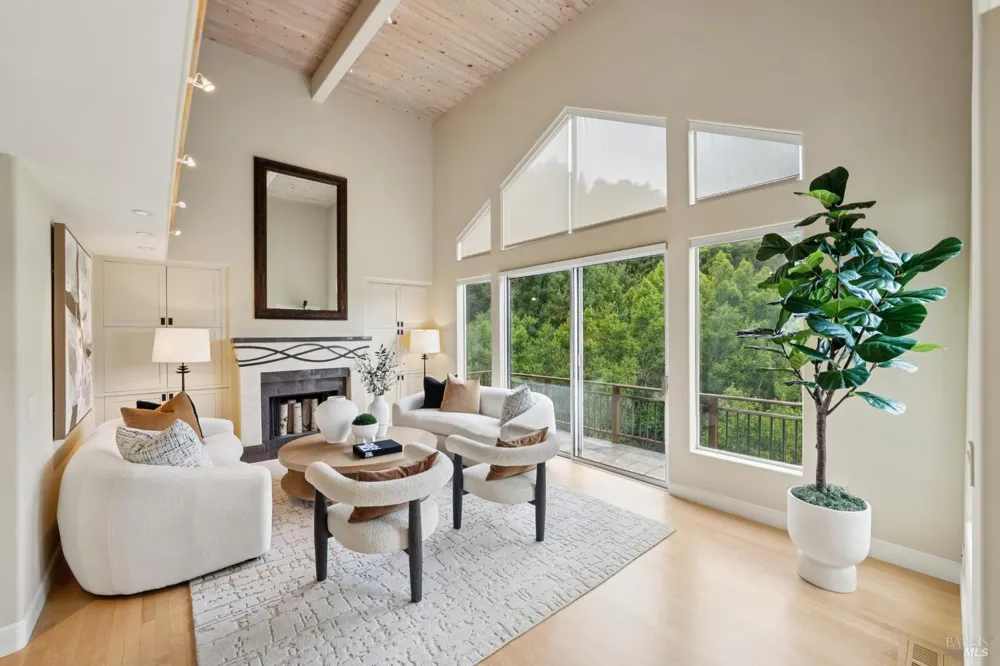 160 Piedmont Court Larkspur, CA 94939
