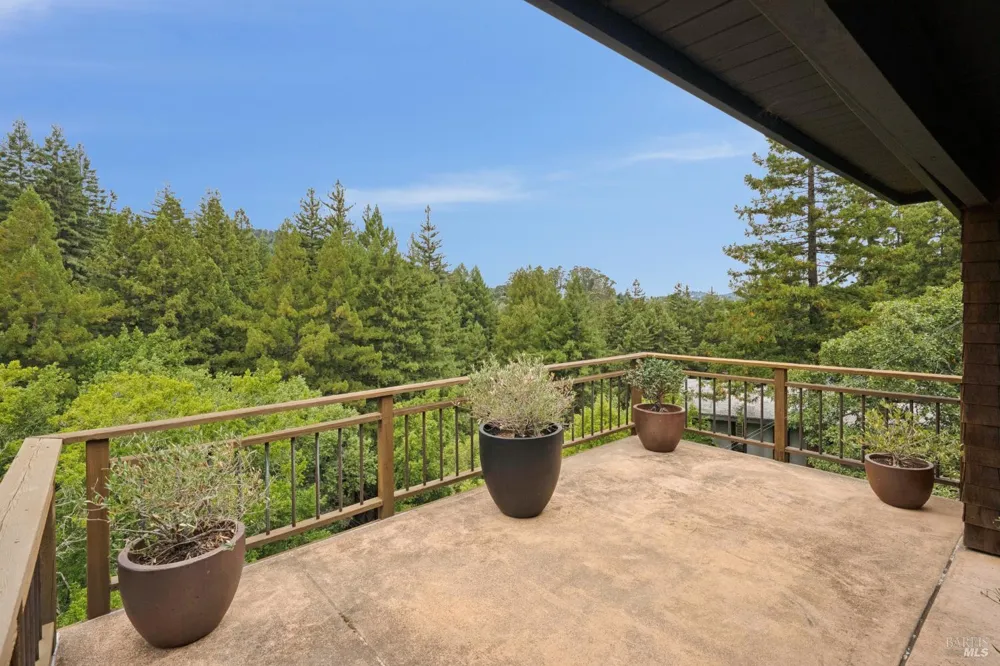 160 Piedmont Court Larkspur, CA 94939