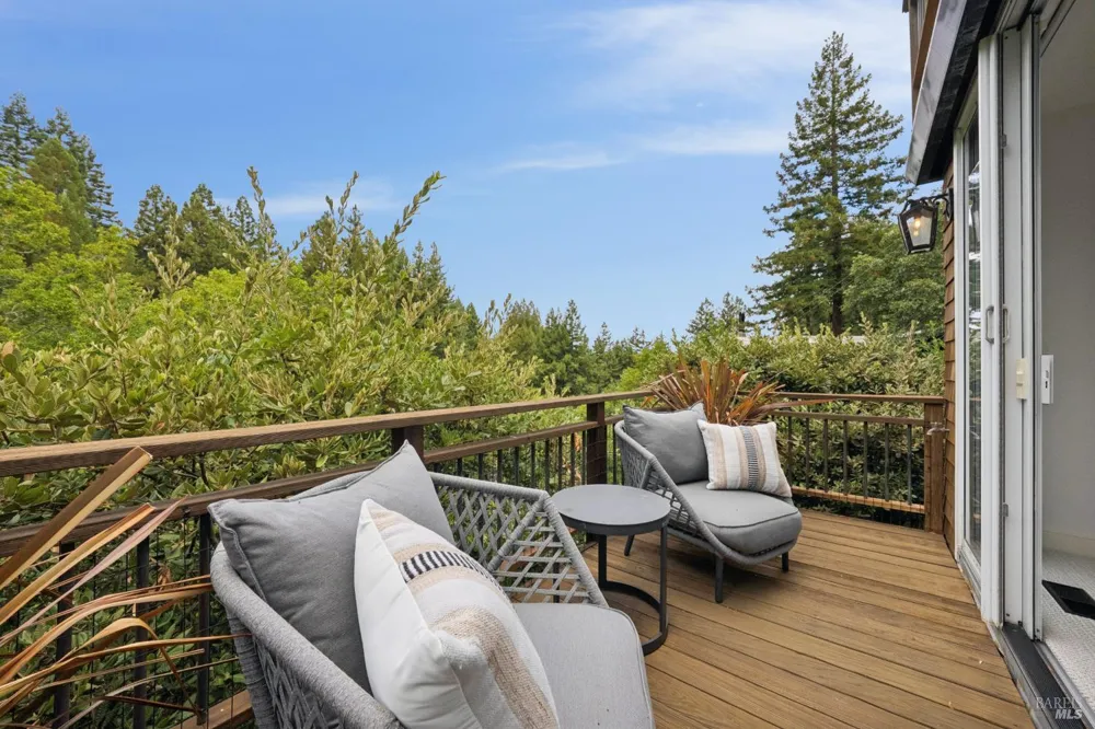 160 Piedmont Court Larkspur, CA 94939