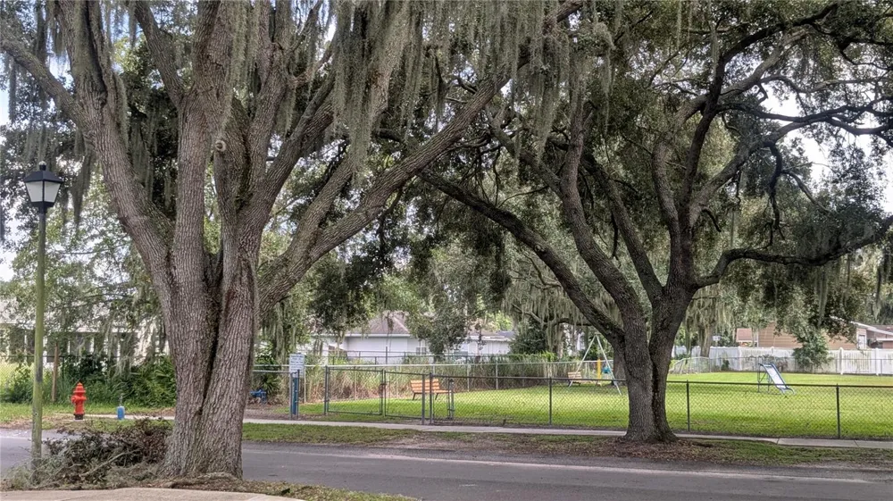 5045 MISTY LAKE DRIVE Mulberry, FL 33860