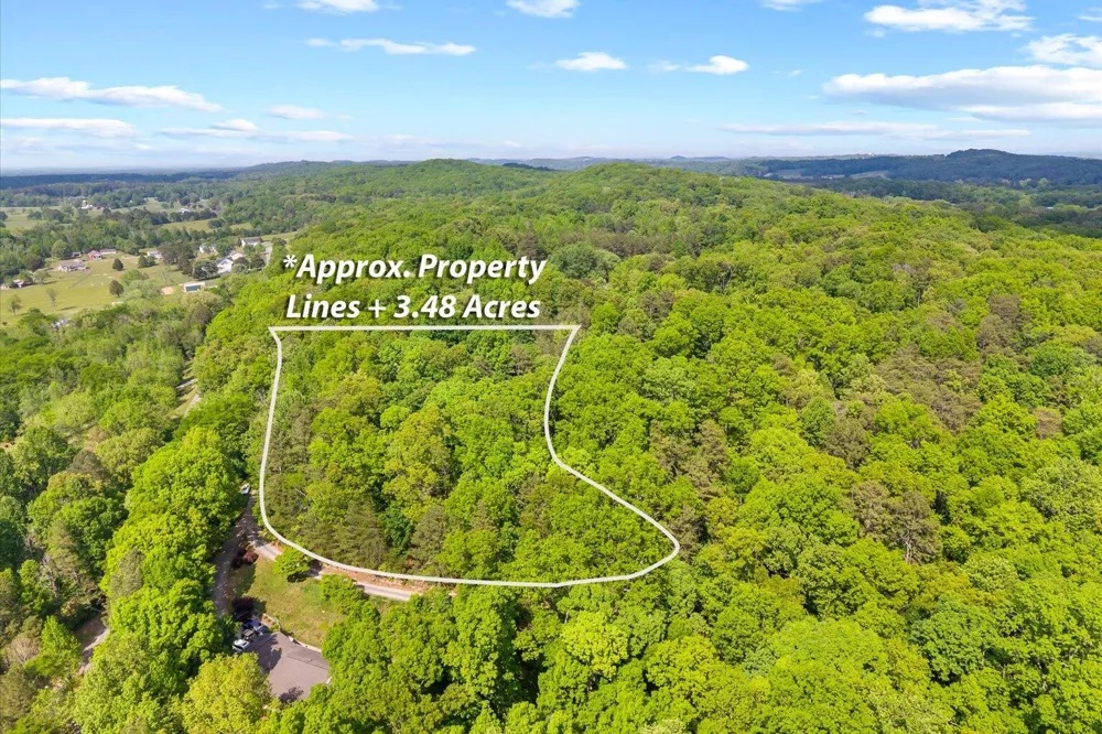 Holli Bird Ringgold, GA 30736