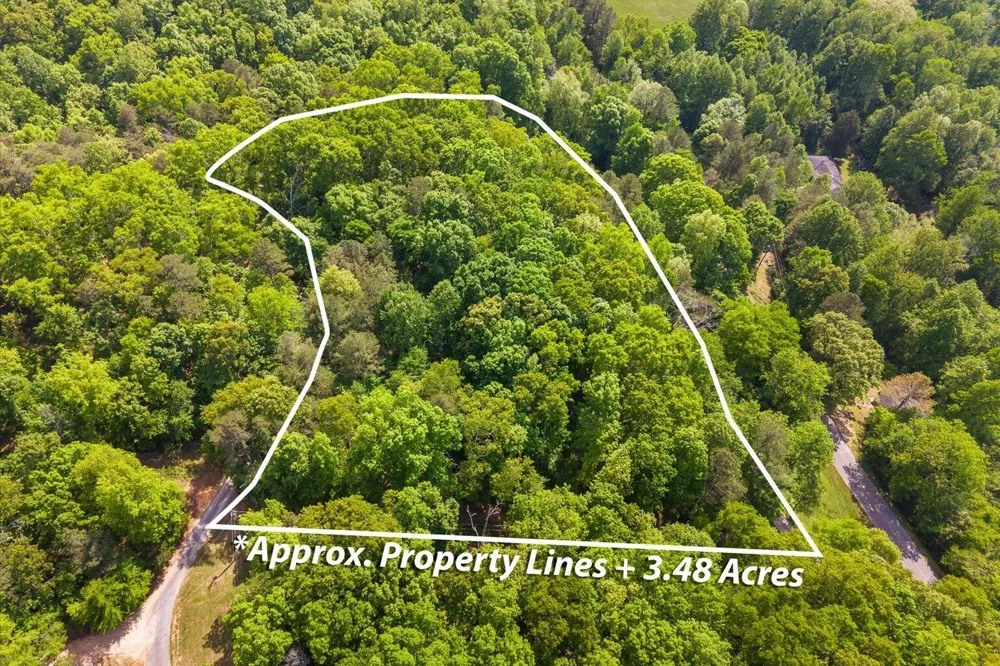 Holli Bird Ringgold, GA 30736