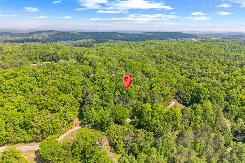 Holli Bird Ringgold, GA 30736