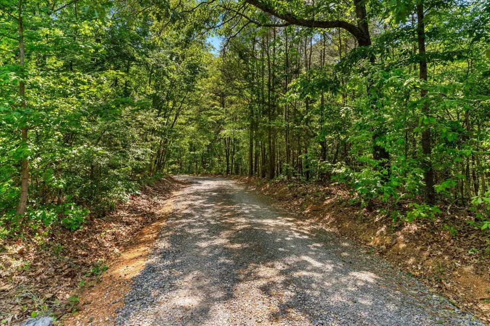 Holli Bird Ringgold, GA 30736