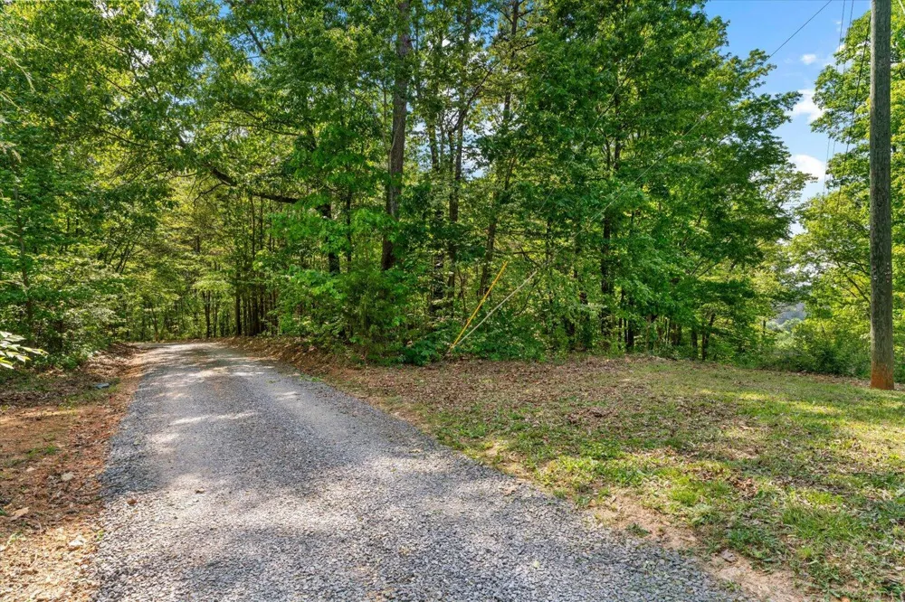 Holli Bird Ringgold, GA 30736