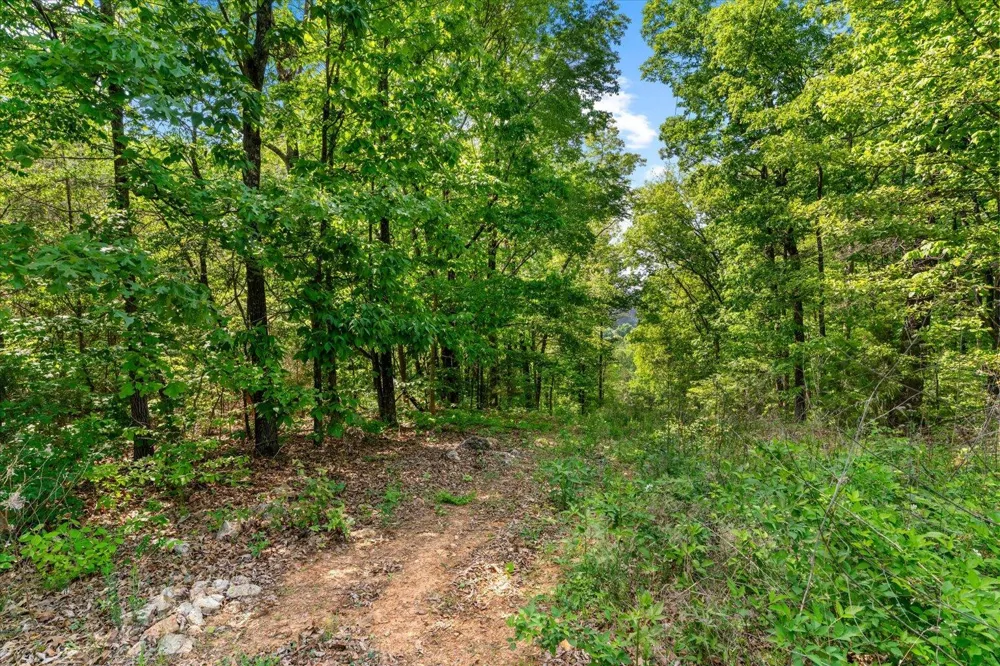 Holli Bird Ringgold, GA 30736