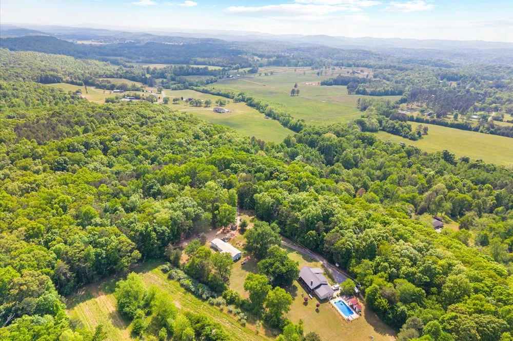 Holli Bird Ringgold, GA 30736