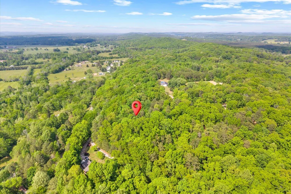 Holli Bird Ringgold, GA 30736