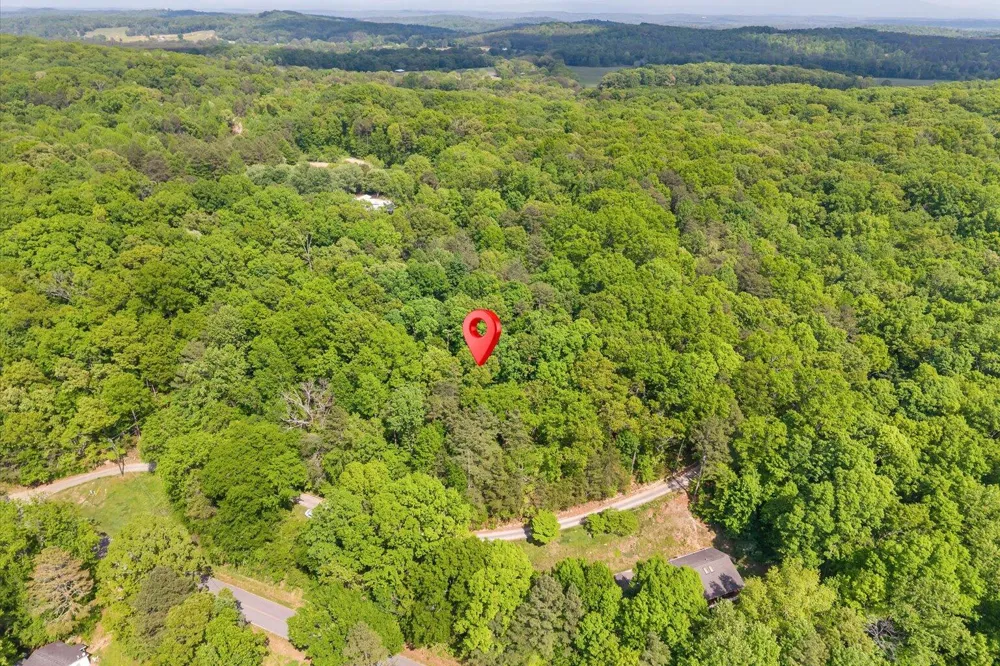 Holli Bird Ringgold, GA 30736