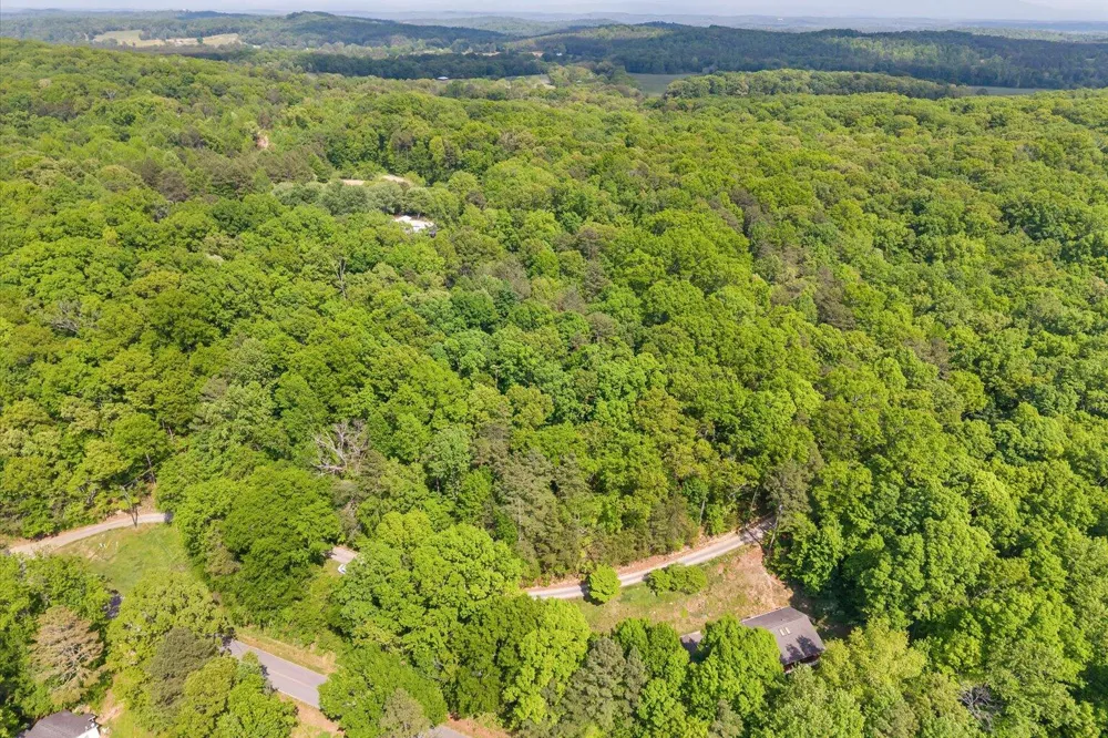 Holli Bird Ringgold, GA 30736