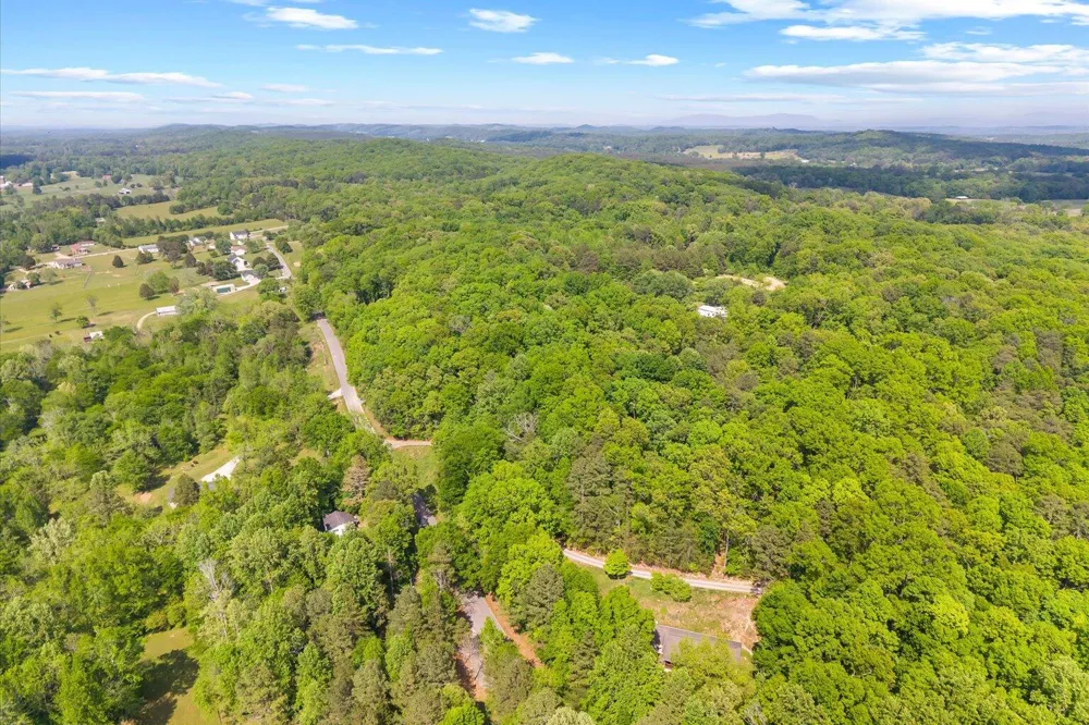 Holli Bird Ringgold, GA 30736